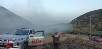 Gaziantep'te Ormanlık Alanda Yangın Çıktı