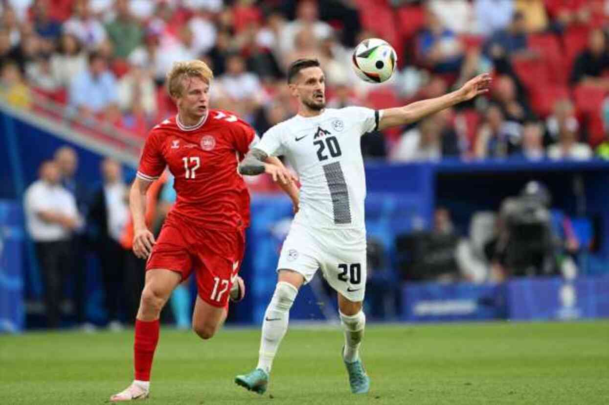 Slovenya- Danimarka maçından görüntüler Slovenya- Danimarka maçından görüntüler