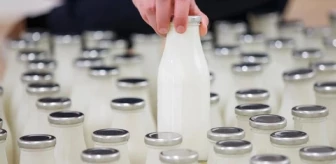 Türkiye'nin dev süt markası iflas etti! Fabrika satışa çıkarılıyor