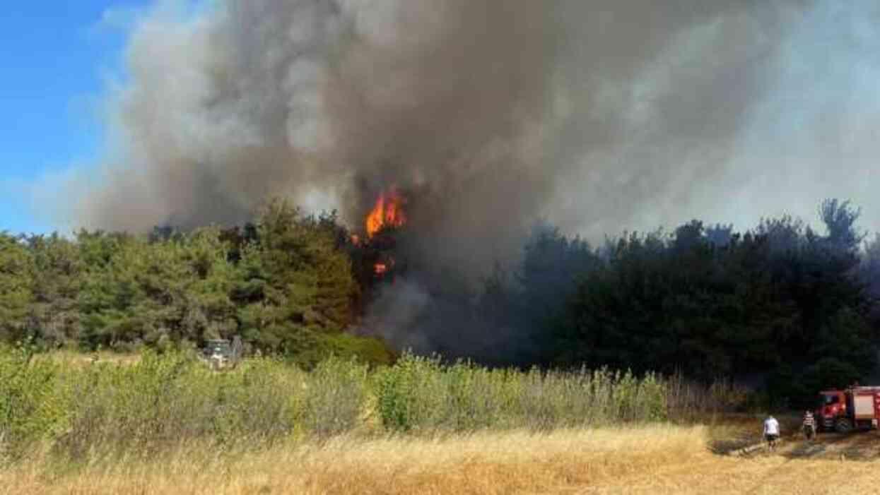 Çanakkale'de orman yangını! Boğaz'da gemi trafiği tek yönlü askıya alındı Çanakkale'de orman yangını! Boğaz'da gemi trafiği tek yönlü askıya alındı