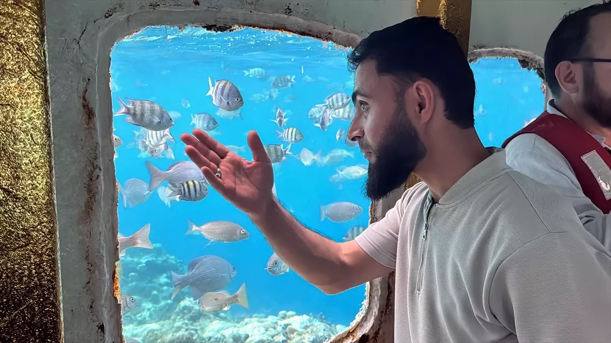 Port Sudan'da Canlıları Görebileceğiniz Cam Kafes