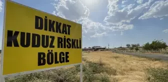 Şanlıurfa'da sahipsiz köpekte tespit edilen kuduz nedeniyle 1 mahalle karantinaya alındı