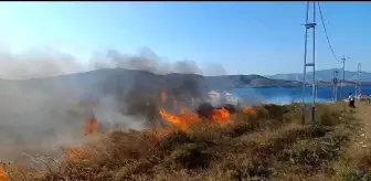 Avşa Adasında Çıkan Yangınlar Kontrol Altına Alındı