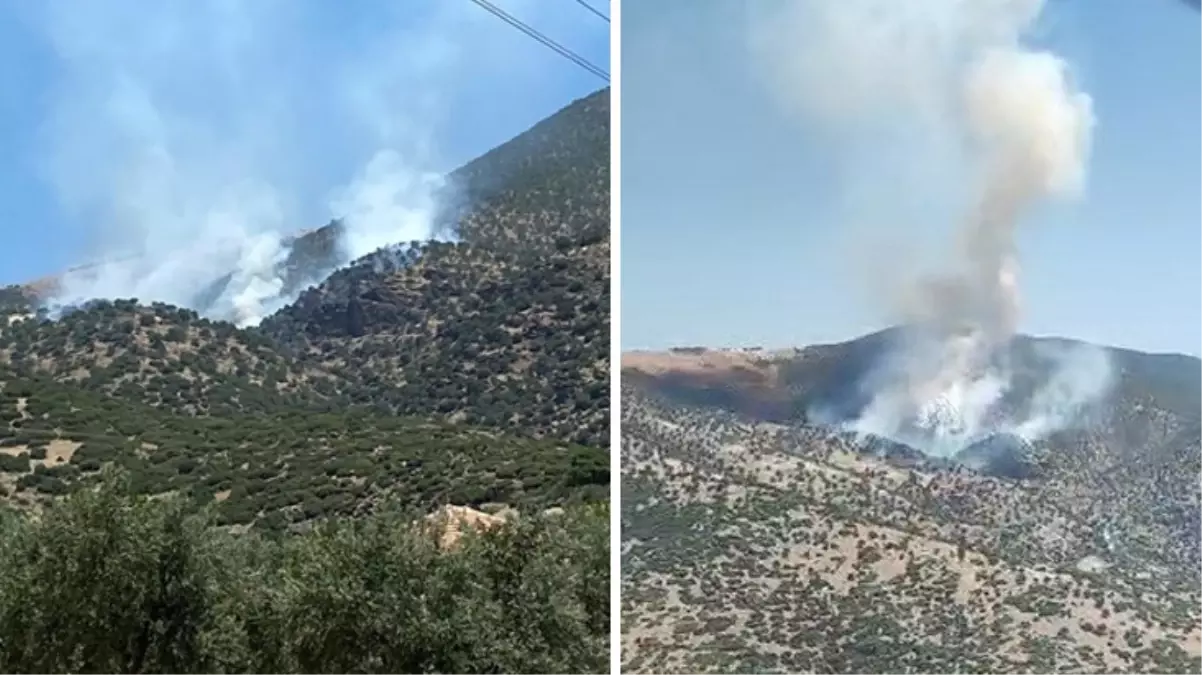 Manisa ve Siirt'te orman yangını! 2 mahallede yaşayan 430 kişi tahliye edildi