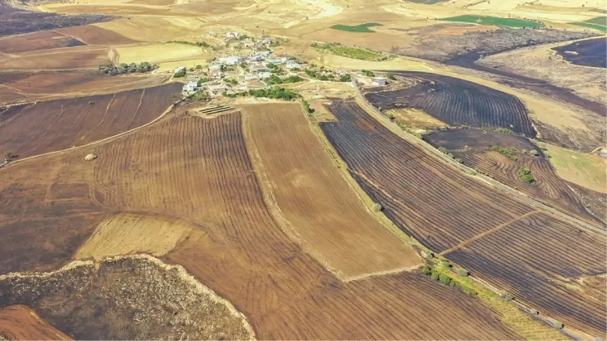 Yangın felaketinde Diyarbakır ve Mardin Valiliklerine toplam 5 milyon TL acil yardım ödeneği gönderildi