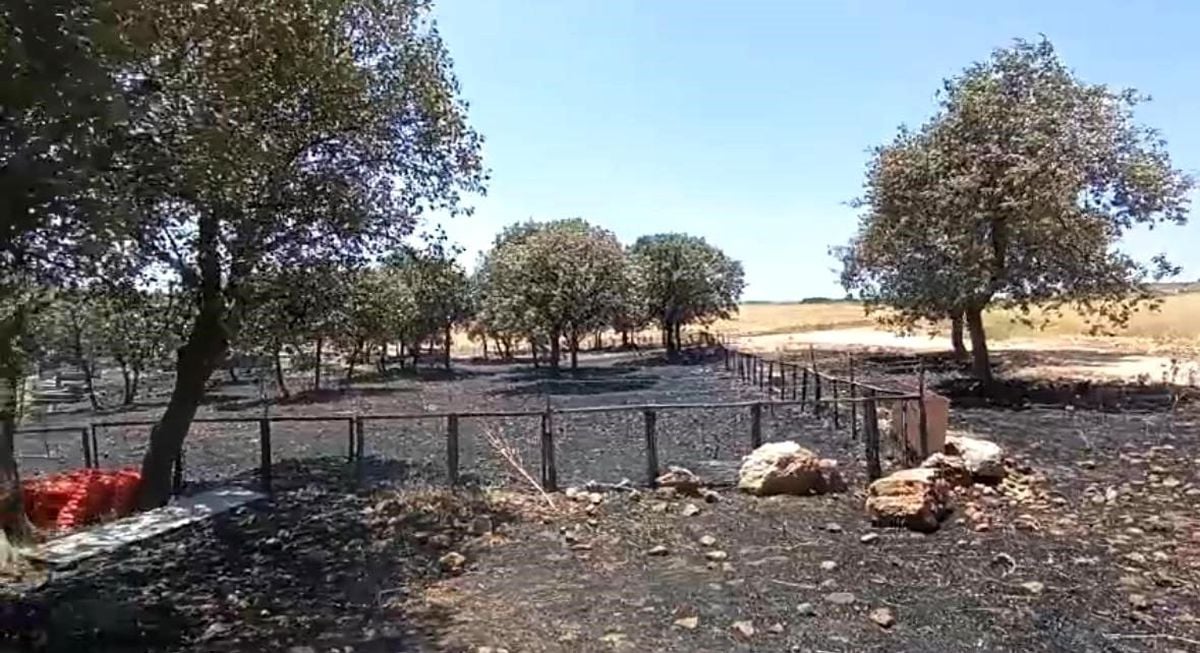 Diyarbakır ve Mardin'deki Yangının Çıkış Nedeni Araştırılıyor