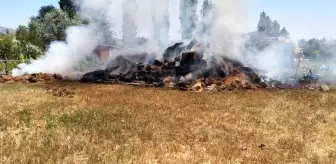 Tokat'ın Zile ilçesinde saman balyaları yangında kullanılmaz hale geldi