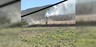 Sinop'ta Orman Yangını Korkuttu