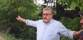 Artvin Şavşat'ta Sahara Milli Parkı'nda Ağaç Kesimine Tepki: 'Böyle Bir Kesimle Böcek Zararının Önlendiği Dünyada Görülmüş Değil'