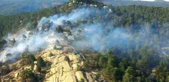 Aydın'ın Bozdoğan ilçesinde karaçam ormanında yangın çıktı