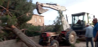 Gaziantep'te Fırtına: Antep Fıstığı Ağaçlarına Zarar Verdi