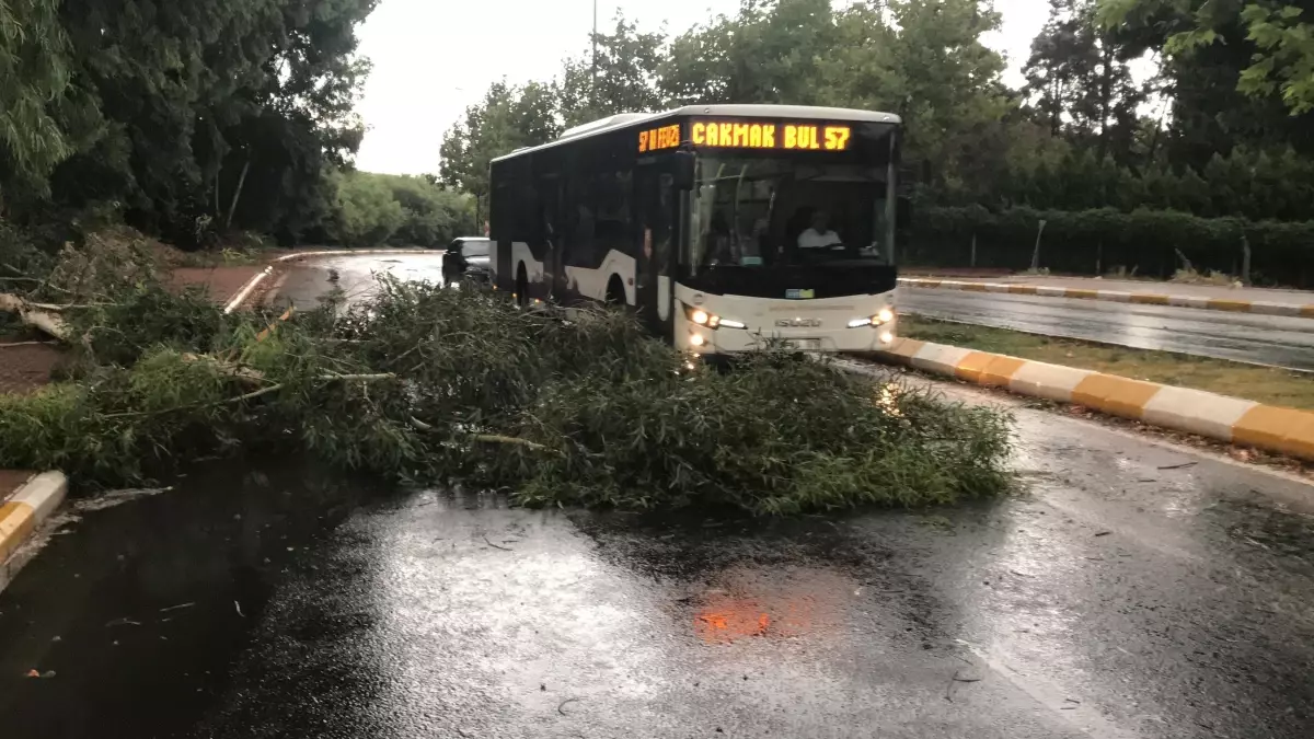 Şanlıurfa'da fırtınada ağaçlar devrildi, yollar göle döndü