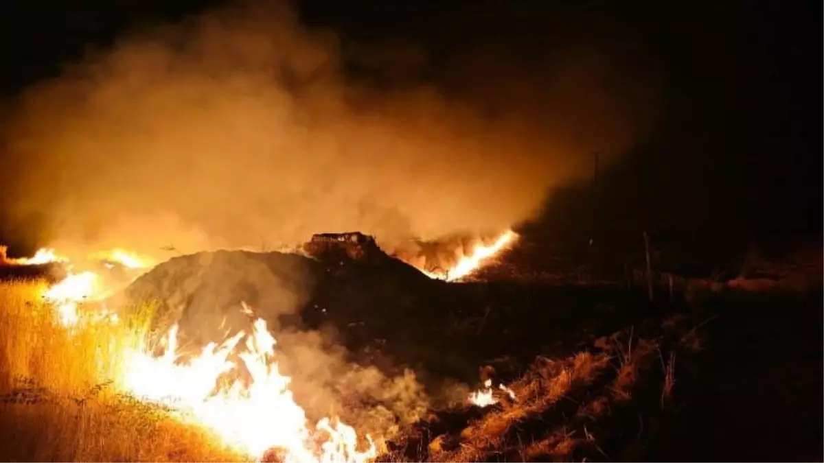 Anız yangınları bitmek bilmiyor! Suriye sınırındaki 7 köy alevlere teslim oldu