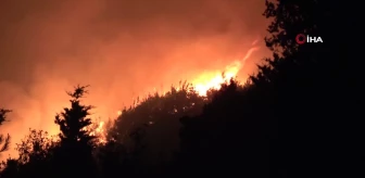 Çanakkale'de Büyük Orman Yangını