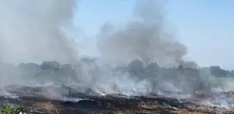 Düzce'de çöplük alanda başlayan yangın tarlalara sıçradı