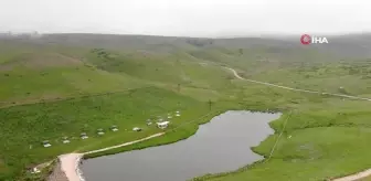 Tokatlılar, Hebüllü Yaylası'nda serinliyor