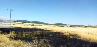 Sinop'ta buğday tarlasında çıkan yangın kontrol altına alındı
