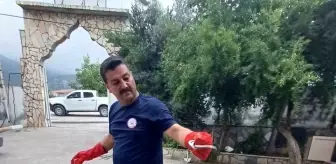 Belen'deki kız öğrenci yurduna yılan girdi