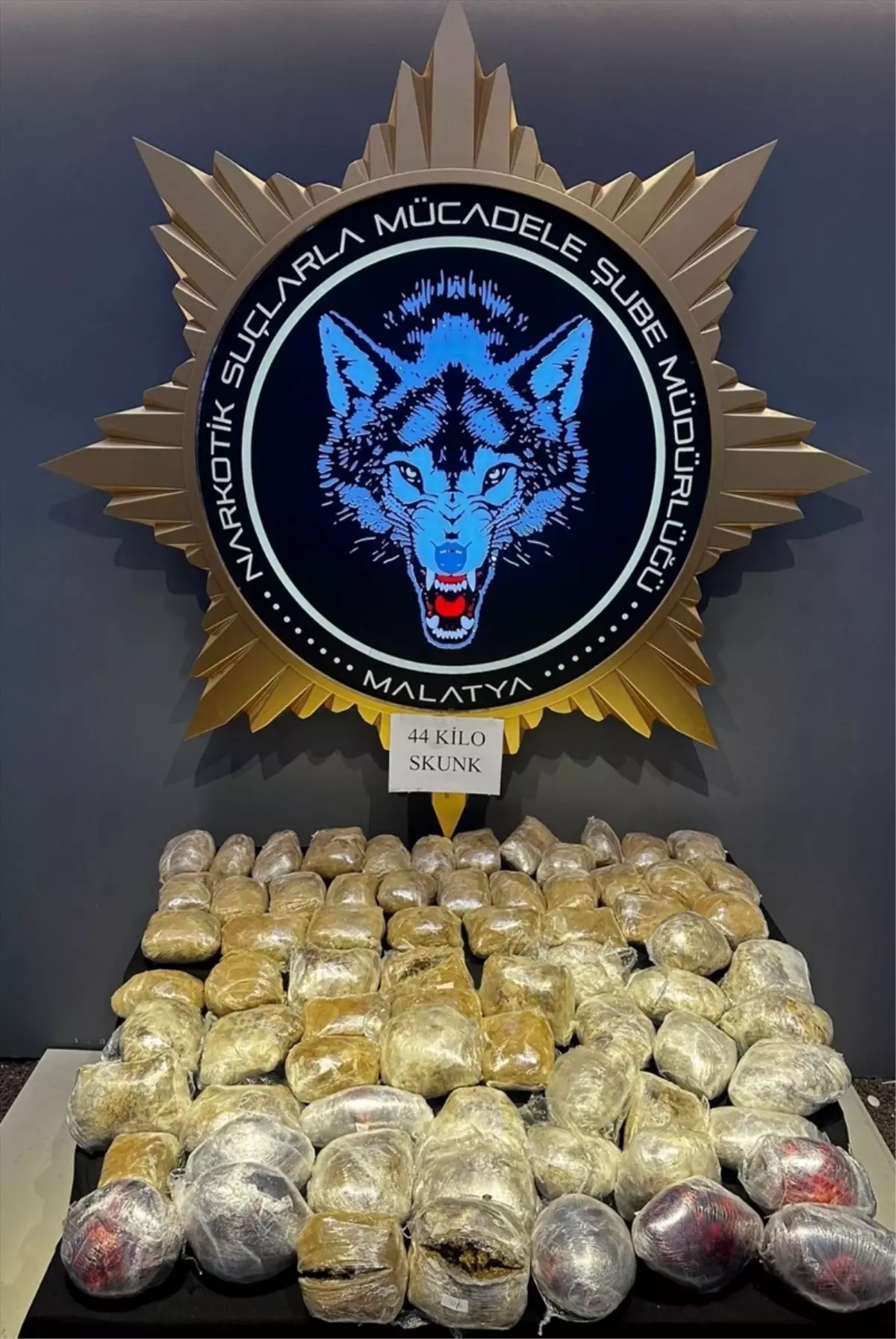 Malatya'da 44 kilogram sentetik uyuşturucu ile yakalanan 3 şüpheli tutuklandı