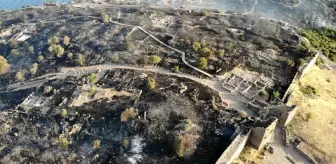 Çanakkale'de çıkan orman yangınında Assos Ören Yeri ve Athena Tapınağı dron ile görüntülendi