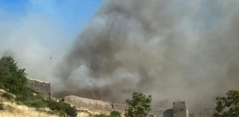 Çanakkale'de Assos Antik Kenti yakınlarında yangın çıktı