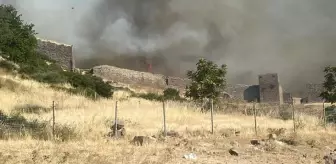 Çanakkale'de orman yangını! Alevler dünyaca ünlü Assos Antik Kenti'ne sıçradı