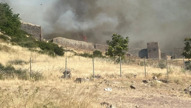 Forest fire in Çanakkale! Flames have spread to the world-famous Assos Ancient City.
