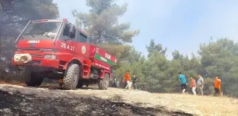 Denizli'nin Buldan ilçesinde çıkan orman yangını kontrol altına alındı