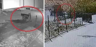 Diyarbakır'da inanılmaz hırsızlık: Bariyer aküsünü çaldıkları için tren ve araç çarpıştı