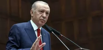 Dosya Erdoğan'ın önüne gidiyor! Sokak hayvanlarıyla ilgili düzenlemede son aşamaya gelindi