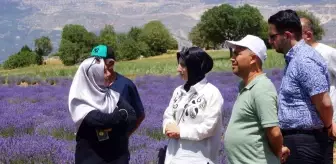 Emekli Hemşire Girişimciliğiyle Lavanta Yetiştiriciliği Yapıyor