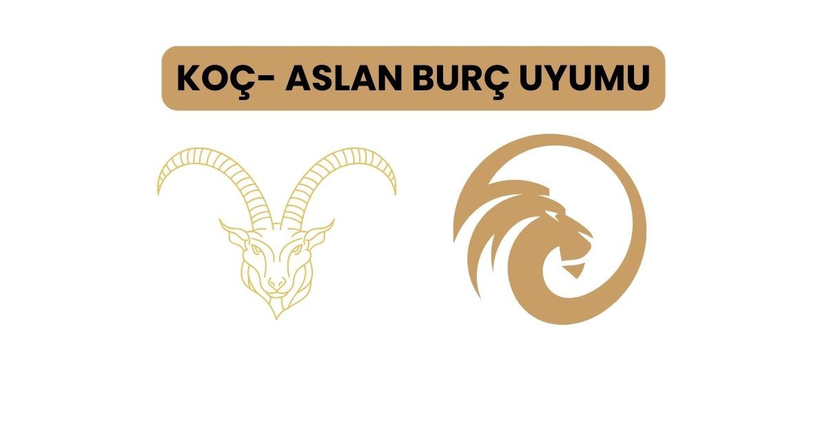Koç- Aslan burç uyumu | Koç kadını aslan erkeği olur mu? Koç- Aslan aşk uyumu