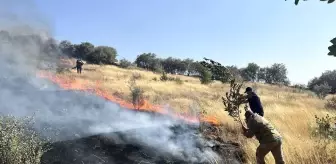 Mardin'de çıkan anız yangını kontrol altına alındı