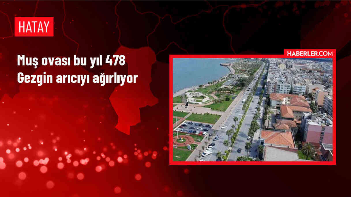 Muş Ovası, Arıcıların Tercih Ettiği Bir Bölge Haline Geldi