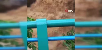 Rize'de şiddetli yağışta heyelanlar meydana geldi