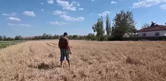 Yozgat'ta Sel ve Dolu Mağduru Çiftçiler: 'Kimse Halimizi Sormuyor, Vatandaş Olarak Garip Kaldık'