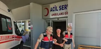 Erzincan'da Ağaç Kesme Tartışması Kanlı Bitti