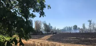 Eskişehir'de çıkan yangında buğday tarlası ve meyve ağaçları zarar gördü