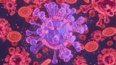 İnflamasyon nedir? İnflamasyon belirtileri ve tedavileri nelerdir? İnflamasyon tehlikeli midir? İnflamasyon nedir? İnflamasyon belirtileri ve tedavileri nelerdir? İnflamasyon tehlikeli midir?