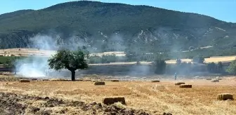 Isparta'da Tarım Arazisinde Çıkan Yangında Bin Dekarlık Alan Zarar Gördü