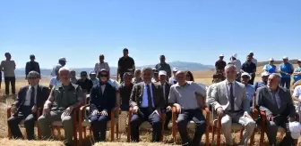 Kırıkkale'de Hasat Şenliği Düzenlendi