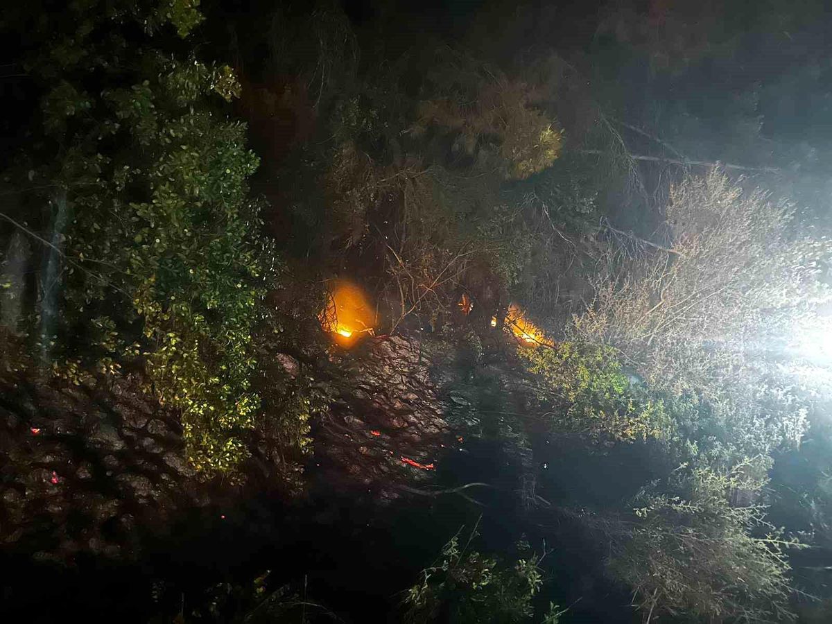 Adana Kozan'da Ormanlık Alanda Yangın Çıktı