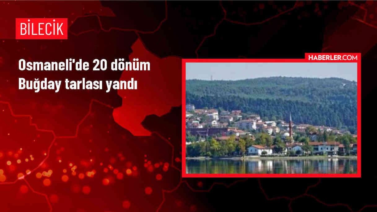 Bilecik'te çıkan yangında 20 dönüm arazi zarar gördü