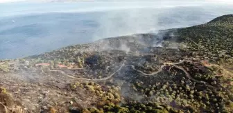 Çanakkale'deki yangında Assos Ören Yeri zarar gördü