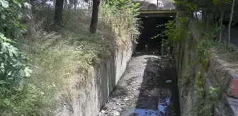 İstanbul'da Derelerden Yayılan Kötü Koku ve Kirlilik