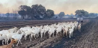 Hayvanlarının Canını Kurtardı; Bazı Evler Tahliye Edildi