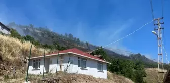 Kastamonu'da Orman Yangını Söndürülmeye Çalışılıyor