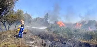 Osmaniye'de Kastabala Kuş Cenneti'nde Yangın Kontrol Altına Alındı