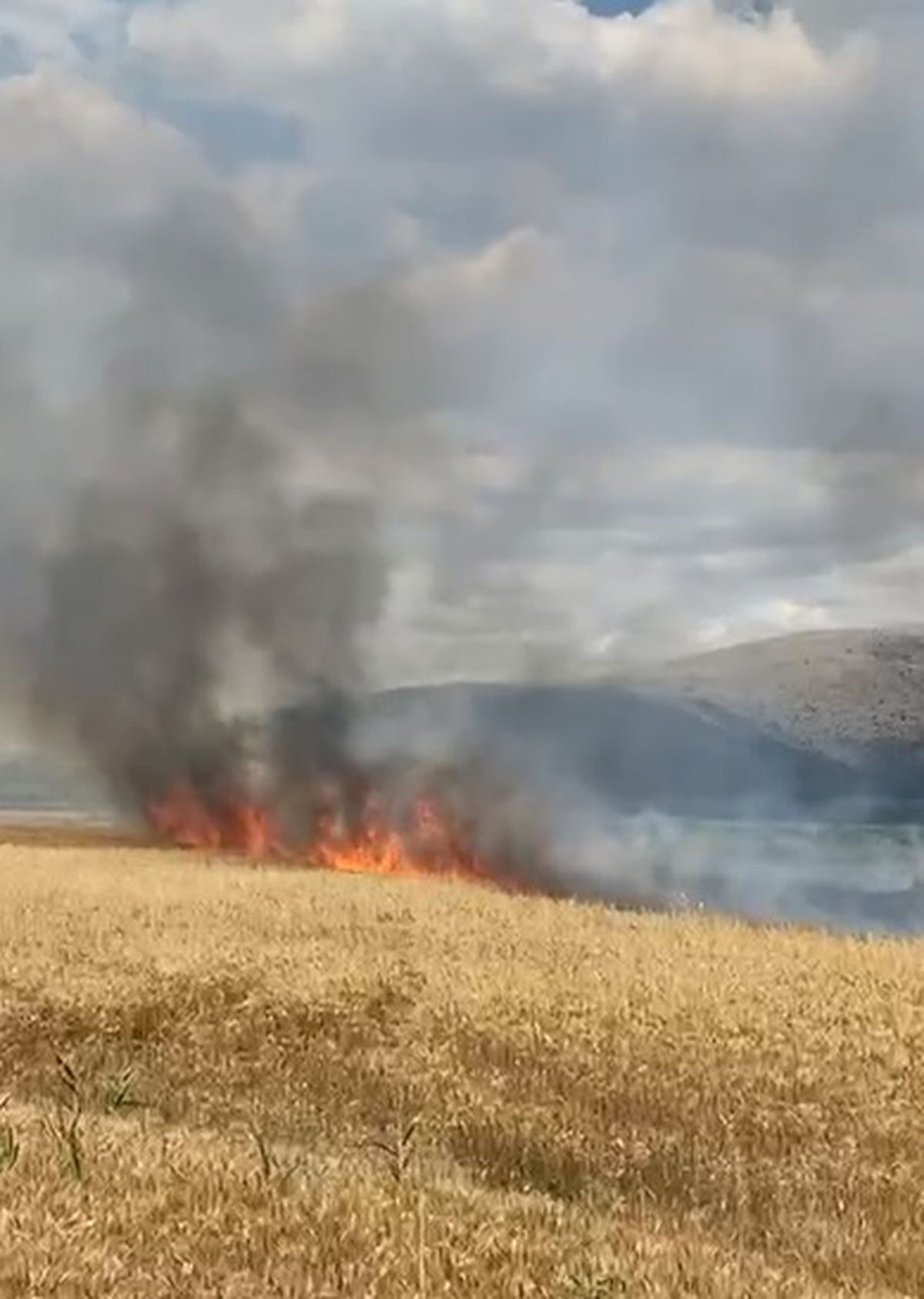 Tokat'ta Buğday Tarlasında Yangın Çıktı