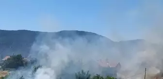 Akseki'de Meyve Ağaçları ve Alan Yangında Zarar Gördü